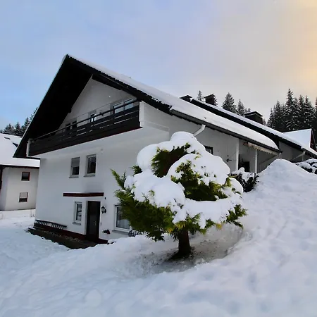 Ferienhaus Frei 1 Hinterzarten Buitenkant foto